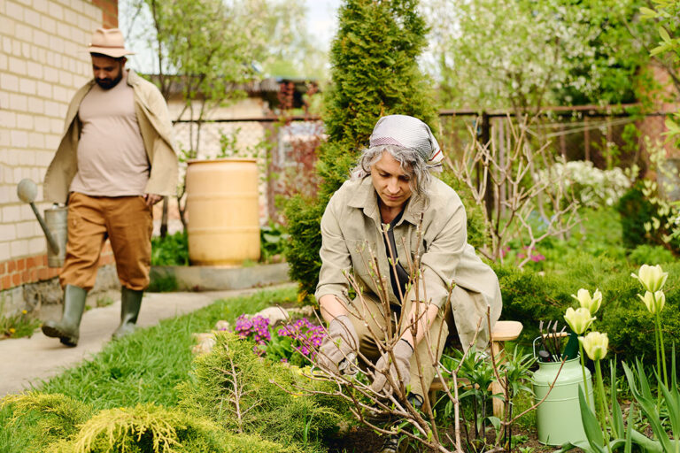 5 Tips to Keep Your Garden Clean and Healthy