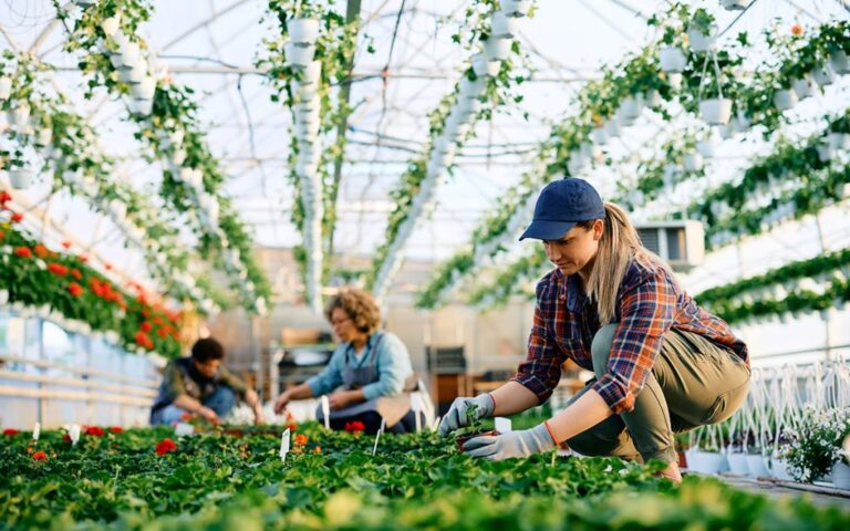 The Benefits of Regular Jet Washing for Your Property